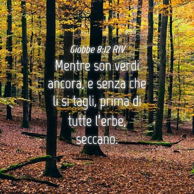 Picture 04 - Giobbe 8:12 RIV - Mentre son verdi ancora, e senza che li si tagli, - Bible Verse Picture