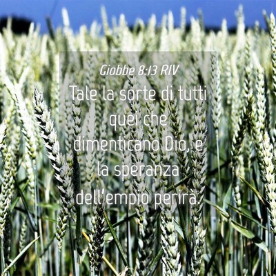 Picture 04 - Giobbe 8:13 RIV - Tale la sorte di tutti quei che dimenticano Dio, - Bible Verse Picture