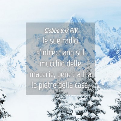 Picture 04 - Giobbe 8:17 RIV - le sue radici s’intrecciano sul mucchio delle - Bible Verse Picture