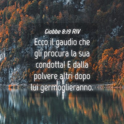 Picture 04 - Giobbe 8:19 RIV - Ecco il gaudio che gli procura la sua condotta! E - Bible Verse Picture