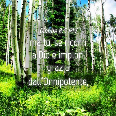 Picture 04 - Giobbe 8:5 RIV - ma tu, se ricorri a Dio e implori grazia - Bible Verse Picture