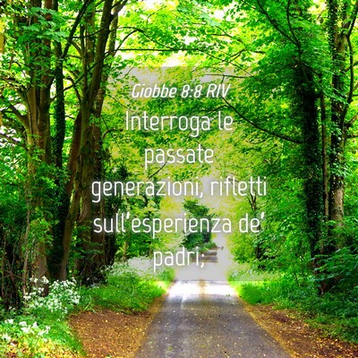 Picture 04 - Giobbe 8:8 RIV - Interroga le passate generazioni, rifletti - Bible Verse Picture