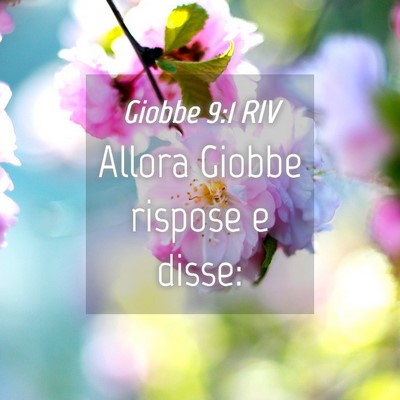Picture 04 - Giobbe 9:1 RIV - Allora Giobbe rispose e - Bible Verse Picture