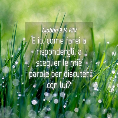 Picture 04 - Giobbe 9:14 RIV - E io, come farei a rispondergli, a sceglier le - Bible Verse Picture