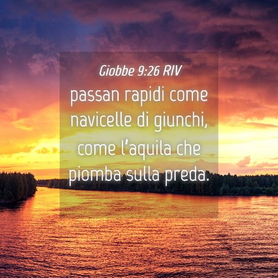 Picture 04 - Giobbe 9:26 RIV - passan rapidi come navicelle di giunchi, come - Bible Verse Picture