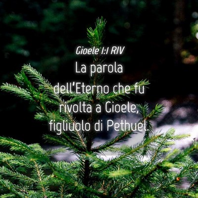 Picture 04 - Gioele 1:1 RIV - La parola dell’Eterno che fu rivolta a Gioele, - Bible Verse Picture