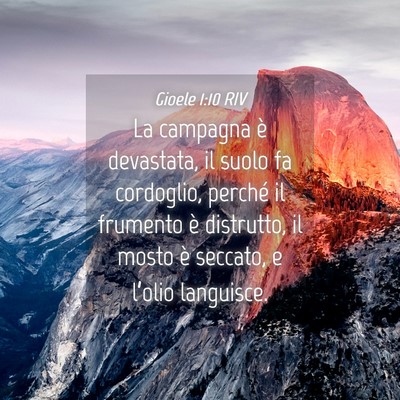 Picture 04 - Gioele 1:10 RIV - La campagna è devastata, il suolo fa cordoglio, - Bible Verse Picture