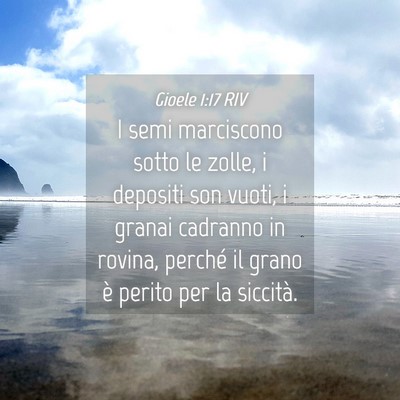 Picture 04 - Gioele 1:17 RIV - I semi marciscono sotto le zolle, i depositi son - Bible Verse Picture