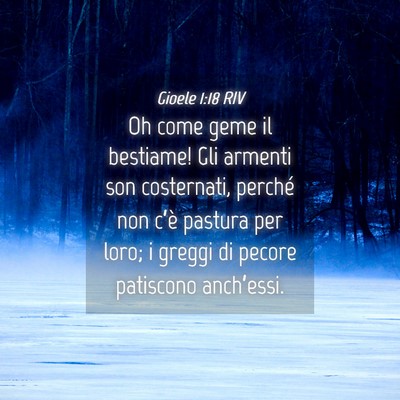 Picture 04 - Gioele 1:18 RIV - Oh come geme il bestiame! Gli armenti son - Bible Verse Picture