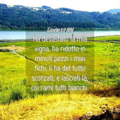 Picture 04 - Gioele 1:7 RIV - Ha devastato la mia vigna, ha ridotto in minuti - Bible Verse Picture