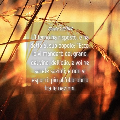 Picture 04 - Gioele 2:19 RIV - L’Eterno ha risposto, e ha detto al suo popolo: - Bible Verse Picture