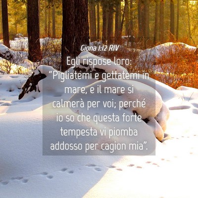 Picture 04 - Giona 1:12 RIV - Egli rispose loro: “Pigliatemi e gettatemi in - Bible Verse Picture