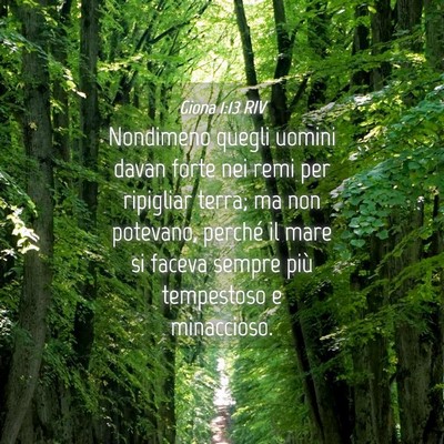 Picture 04 - Giona 1:13 RIV - Nondimeno quegli uomini davan forte nei remi per - Bible Verse Picture