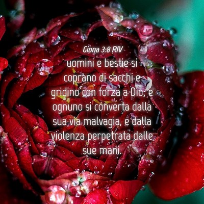 Picture 04 - Giona 3:8 RIV - uomini e bestie si coprano di sacchi e gridino - Bible Verse Picture
