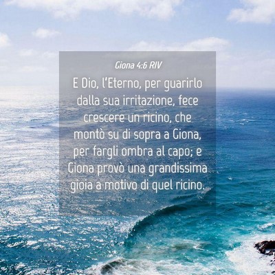 Picture 04 - Giona 4:6 RIV - E Dio, l’Eterno, per guarirlo dalla sua - Bible Verse Picture