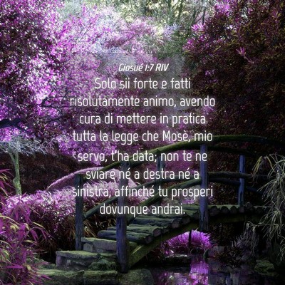 Picture 04 - Giosué 1:7 RIV - Solo sii forte e fatti risolutamente animo, - Bible Verse Picture