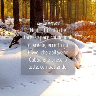 Picture 04 - Giosué 11:19 RIV - Non ci fu città che facesse pace coi figliuoli - Bible Verse Picture