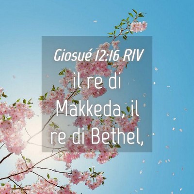 Picture 04 - Giosué 12:16 RIV - il re di Makkeda, il re di - Bible Verse Picture