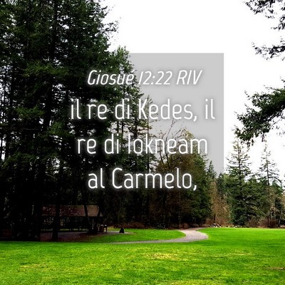 Picture 04 - Giosué 12:22 RIV - il re di Kedes, il re di Iokneam al - Bible Verse Picture