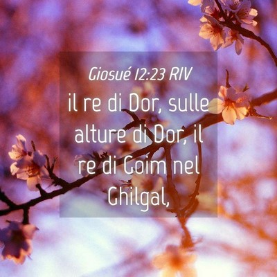 Picture 04 - Giosué 12:23 RIV - il re di Dor, sulle alture di Dor, il re di Goim - Bible Verse Picture