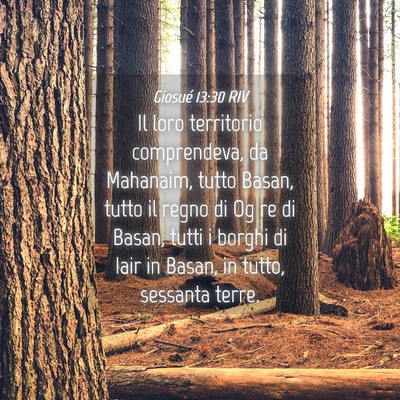 Picture 04 - Giosué 13:30 RIV - Il loro territorio comprendeva, da Mahanaim, - Bible Verse Picture
