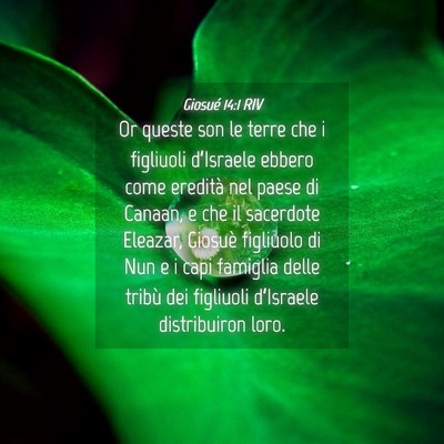 Picture 04 - Giosué 14:1 RIV - Or queste son le terre che i figliuoli - Bible Verse Picture