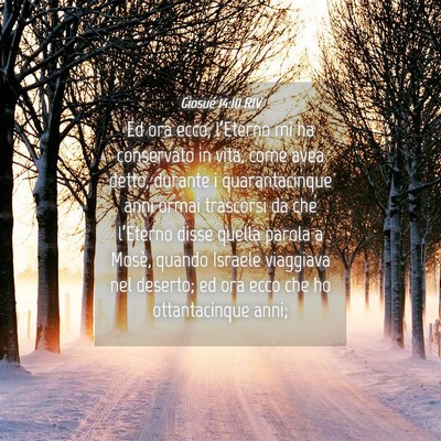 Picture 04 - Giosué 14:10 RIV - Ed ora ecco, l’Eterno mi ha conservato in vita, - Bible Verse Picture