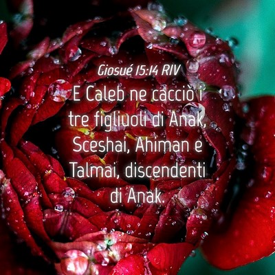 Picture 04 - Giosué 15:14 RIV - E Caleb ne cacciò i tre figliuoli di Anak, - Bible Verse Picture