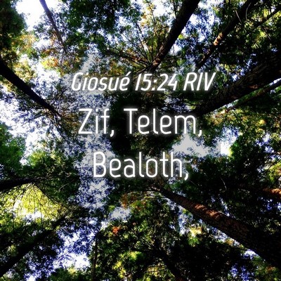 Picture 04 - Giosué 15:24 RIV - Zif, Telem, - Bible Verse Picture
