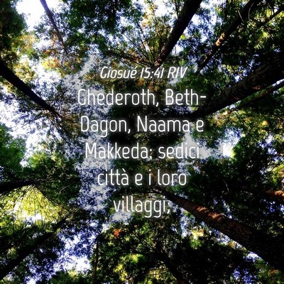 Picture 04 - Giosué 15:41 RIV - Ghederoth, Beth-Dagon, Naama e Makkeda: sedici - Bible Verse Picture