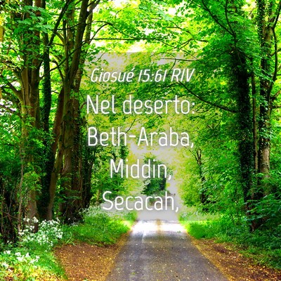 Picture 04 - Giosué 15:61 RIV - Nel deserto: Beth-Araba, Middin, - Bible Verse Picture