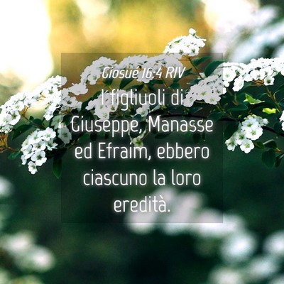 Picture 04 - Giosué 16:4 RIV - I figliuoli di Giuseppe, Manasse ed Efraim, - Bible Verse Picture