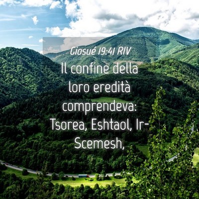 Picture 04 - Giosué 19:41 RIV - Il confine della loro eredità comprendeva: - Bible Verse Picture