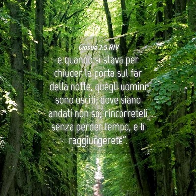 Picture 04 - Giosué 2:5 RIV - e quando si stava per chiuder la porta sul far - Bible Verse Picture