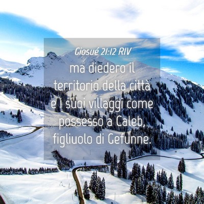 Picture 04 - Giosué 21:12 RIV - ma diedero il territorio della città e i suoi - Bible Verse Picture
