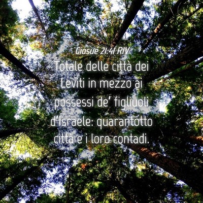 Picture 04 - Giosué 21:41 RIV - Totale delle città dei Leviti in mezzo ai - Bible Verse Picture