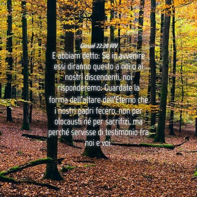 Picture 04 - Giosué 22:28 RIV - E abbiam detto: Se in avvenire essi diranno - Bible Verse Picture