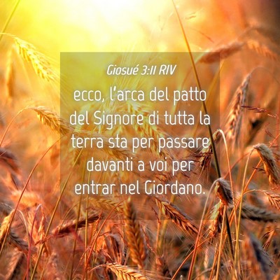 Picture 04 - Giosué 3:11 RIV - ecco, l’arca del patto del Signore di tutta la - Bible Verse Picture