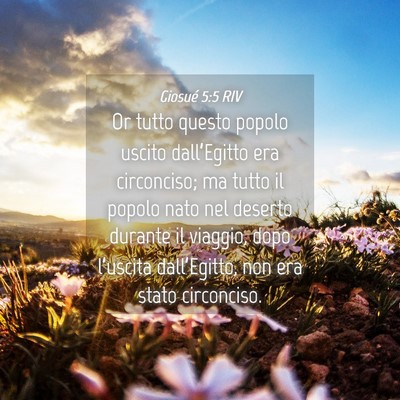 Picture 04 - Giosué 5:5 RIV - Or tutto questo popolo uscito dall’Egitto era - Bible Verse Picture
