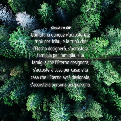 Picture 04 - Giosué 7:14 RIV - Domattina dunque v’accosterete tribù per - Bible Verse Picture