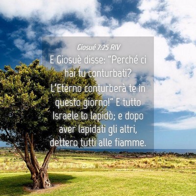 Picture 04 - Giosué 7:25 RIV - E Giosuè disse: “Perché ci hai tu conturbati? - Bible Verse Picture