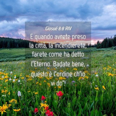 Picture 04 - Giosué 8:8 RIV - E quando avrete preso la città, la incendierete; - Bible Verse Picture