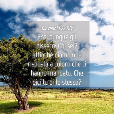 Picture 04 - Giovanni 1:22 RIV - Essi dunque gli dissero: Chi sei? affinché diamo - Bible Verse Picture