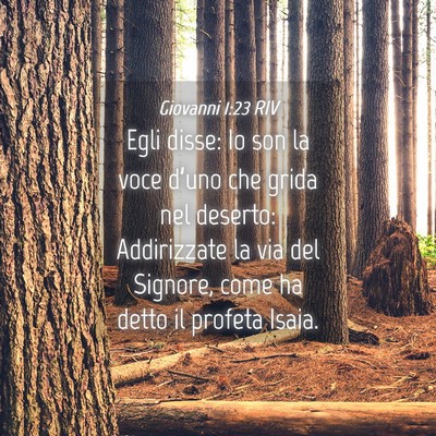 Picture 04 - Giovanni 1:23 RIV - Egli disse: Io son la voce d’uno che grida nel - Bible Verse Picture