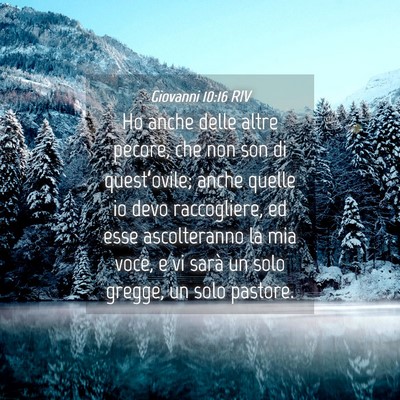 Picture 04 - Giovanni 10:16 RIV - Ho anche delle altre pecore, che non son di - Bible Verse Picture