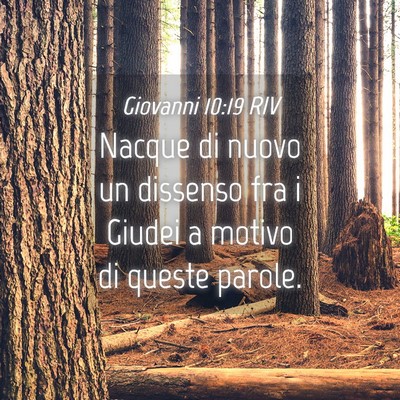 Picture 04 - Giovanni 10:19 RIV - Nacque di nuovo un dissenso fra i Giudei a motivo - Bible Verse Picture