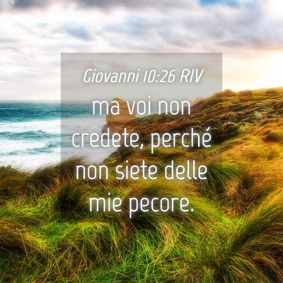 Picture 04 - Giovanni 10:26 RIV - ma voi non credete, perché non siete delle mie - Bible Verse Picture