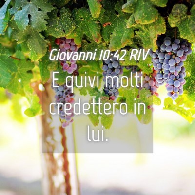 Picture 04 - Giovanni 10:42 RIV - E quivi molti credettero in - Bible Verse Picture