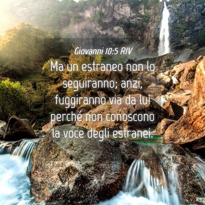Picture 04 - Giovanni 10:5 RIV - Ma un estraneo non lo seguiranno; anzi, - Bible Verse Picture