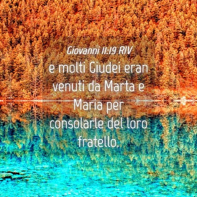 Picture 04 - Giovanni 11:19 RIV - e molti Giudei eran venuti da Marta e Maria per - Bible Verse Picture